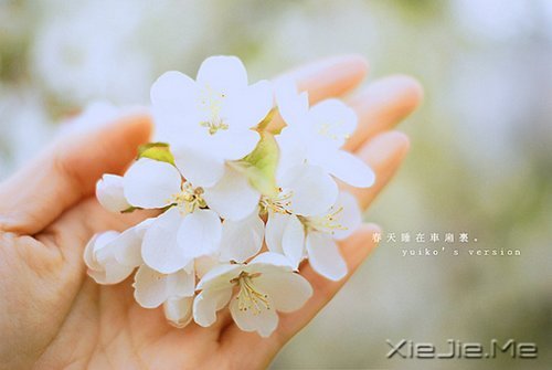 所谓幸福,就是一些不知不觉的小片断 (1)