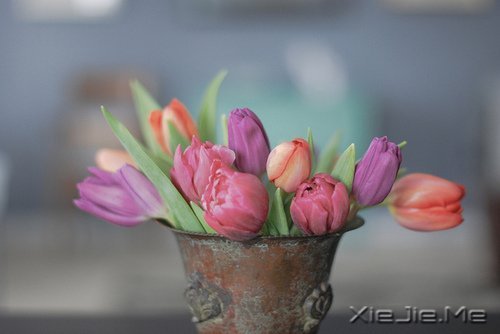 早安心语:如果时间可以倒退,一切也就不再珍贵 (5)