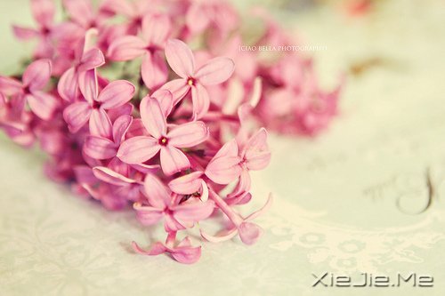 晚安心语:微笑着去等待,做最好的自己 (6)