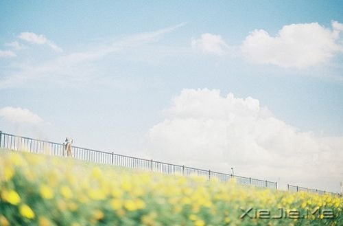 晚安心语:停在风景里,为自己唱首歌 (6)