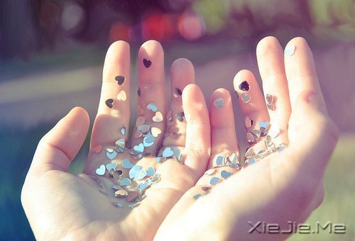 早安心语:一念放下,万般自在 (5)