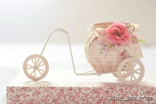 晚安心语:你来过一阵子,我却怀念了一辈子 (3)