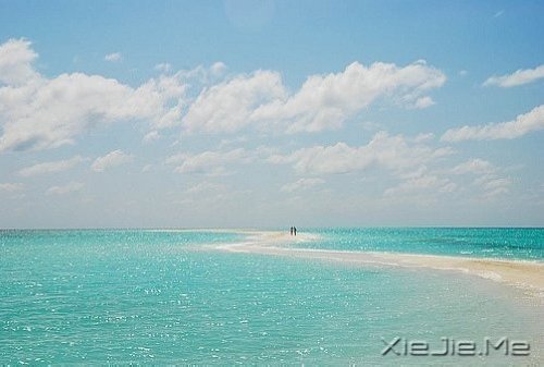 国内外经典诗歌15首