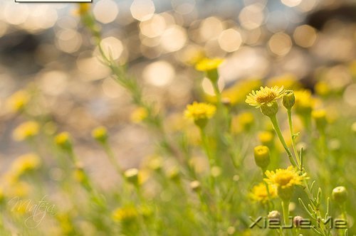 10首温暖的英文歌曲推荐 (1)