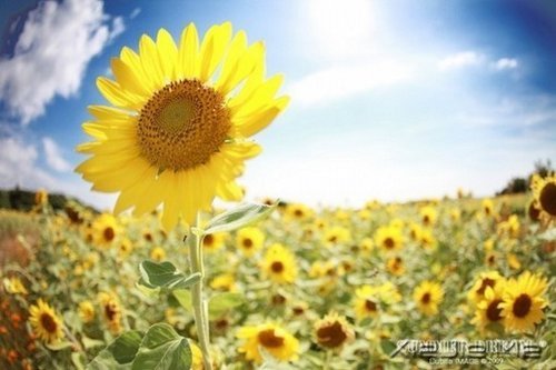 10首温暖的英文歌曲推荐 (3)